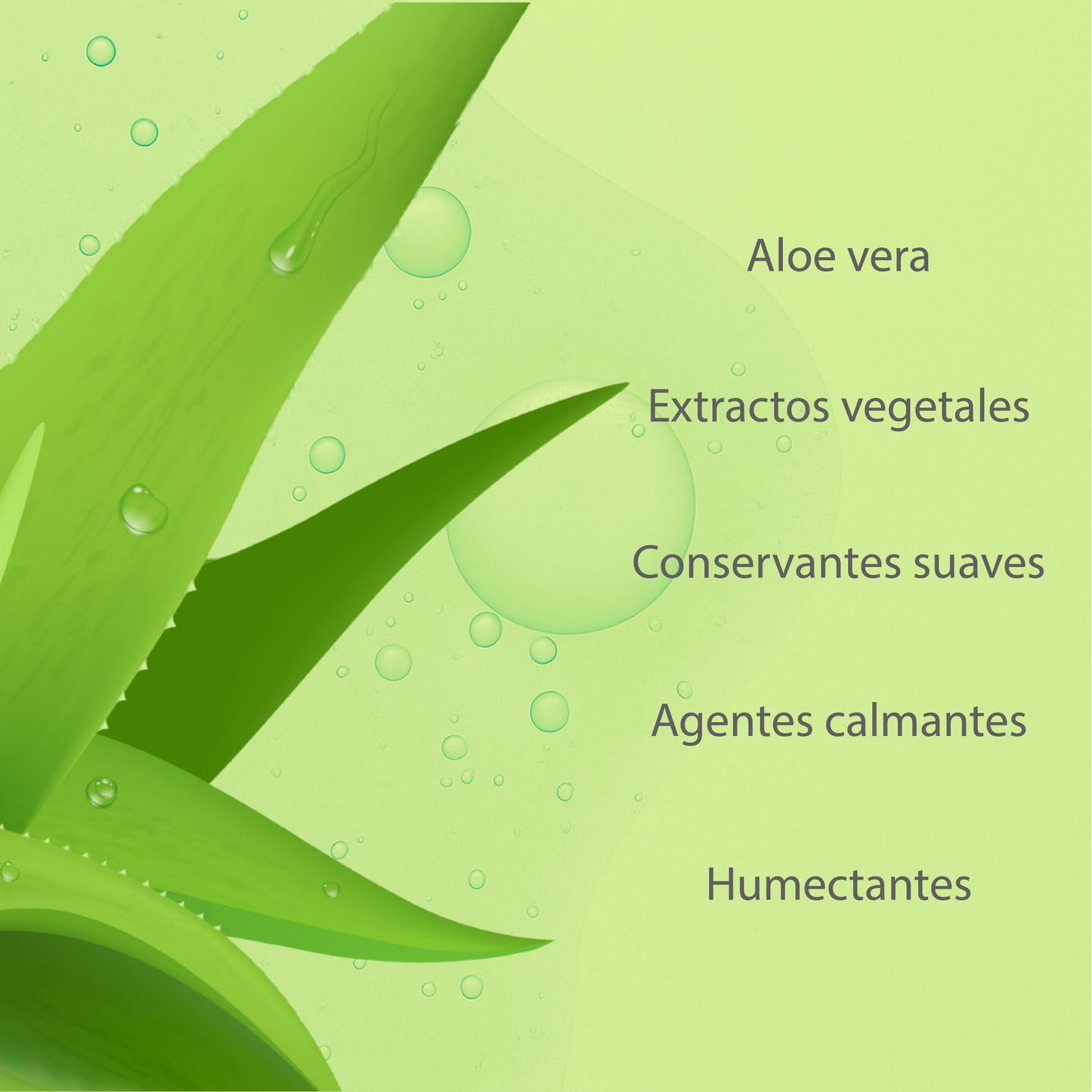 SERUM ALOE VERA